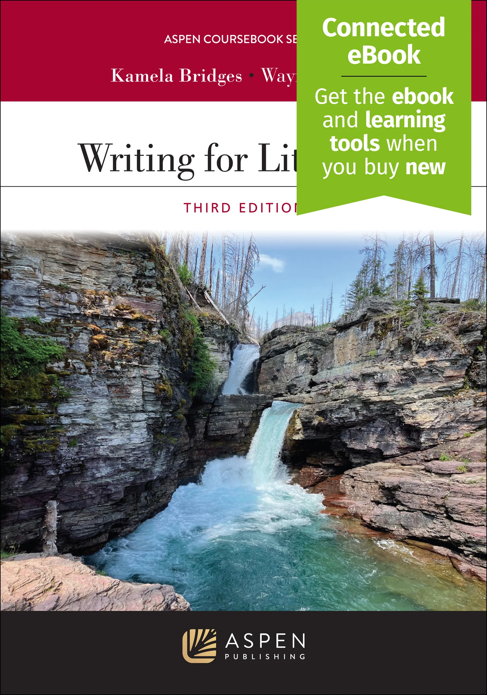 Writing for Litigation, Third Edition - Image 2