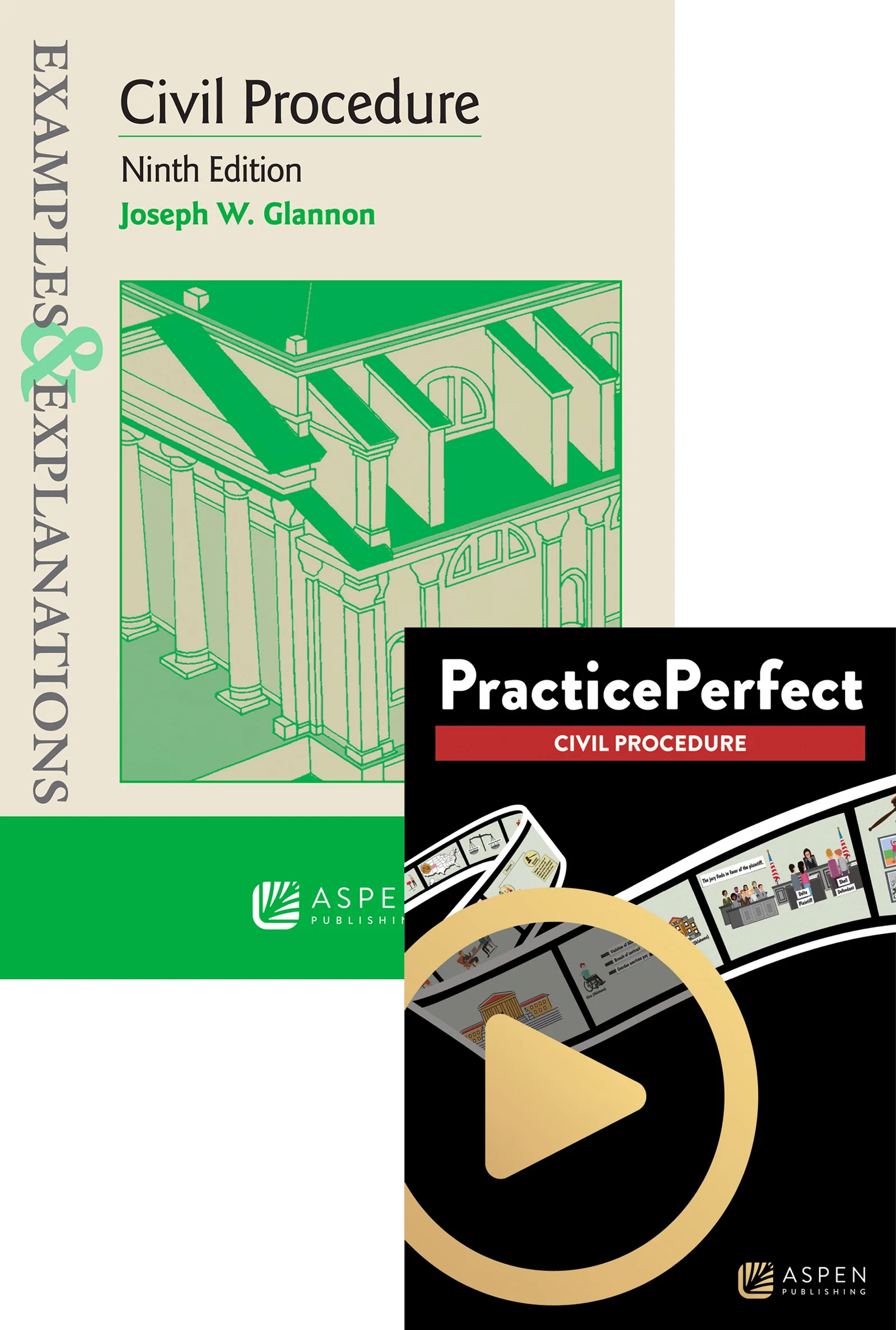 Bundle: Examples & Explanations for Civil Procedure, Ninth Edition with PracticePerfect Civil Procedure